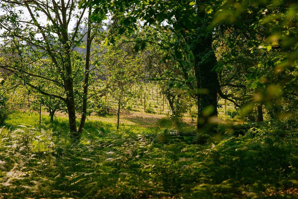 Отель Quinta Da Bouca D'Arques Vila de Punhe Экстерьер фото